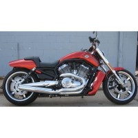 07-17-v-rod-fat-cat-21-01-600x600