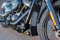 ChinscoopM8Softail_App3