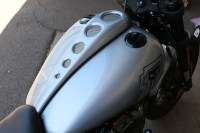 DimpleDash-Softail_App22